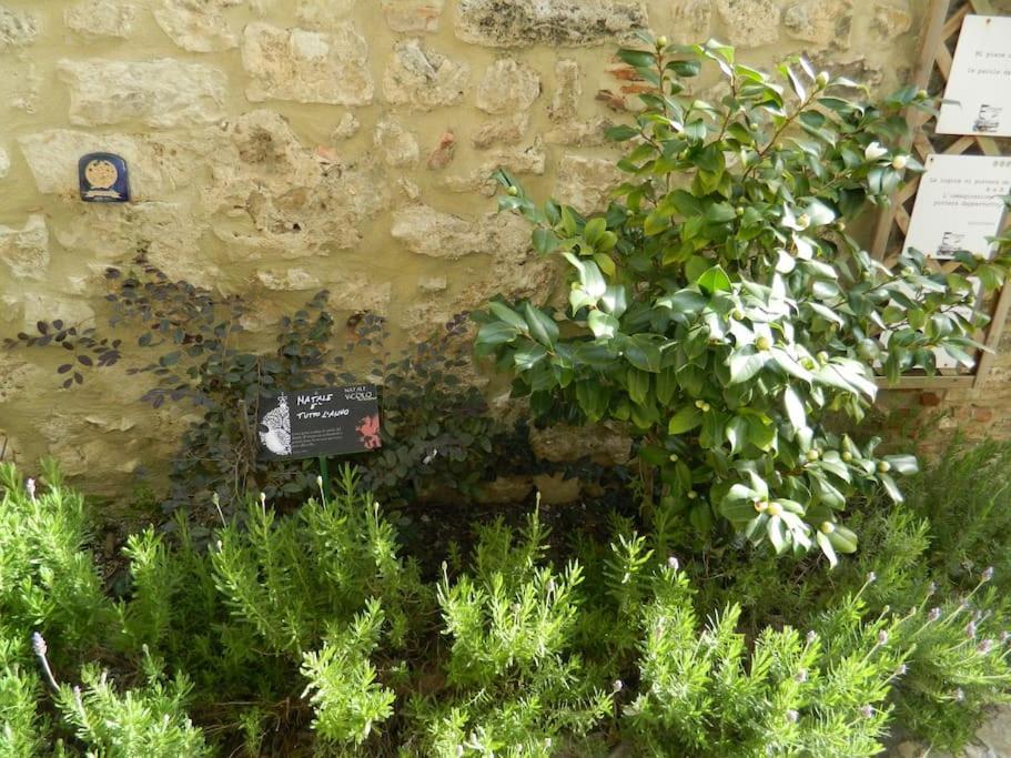 Casa Dell'Oliveto "Parcheggio Gratuito" Narni Exterior foto