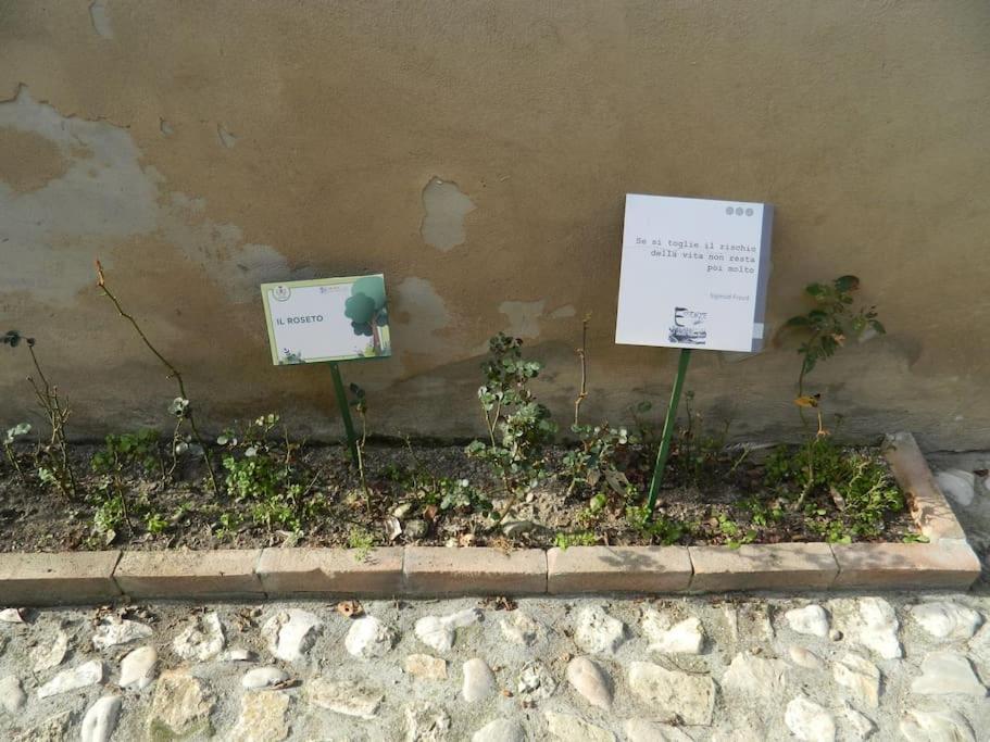 Casa Dell'Oliveto "Parcheggio Gratuito" Narni Exterior foto