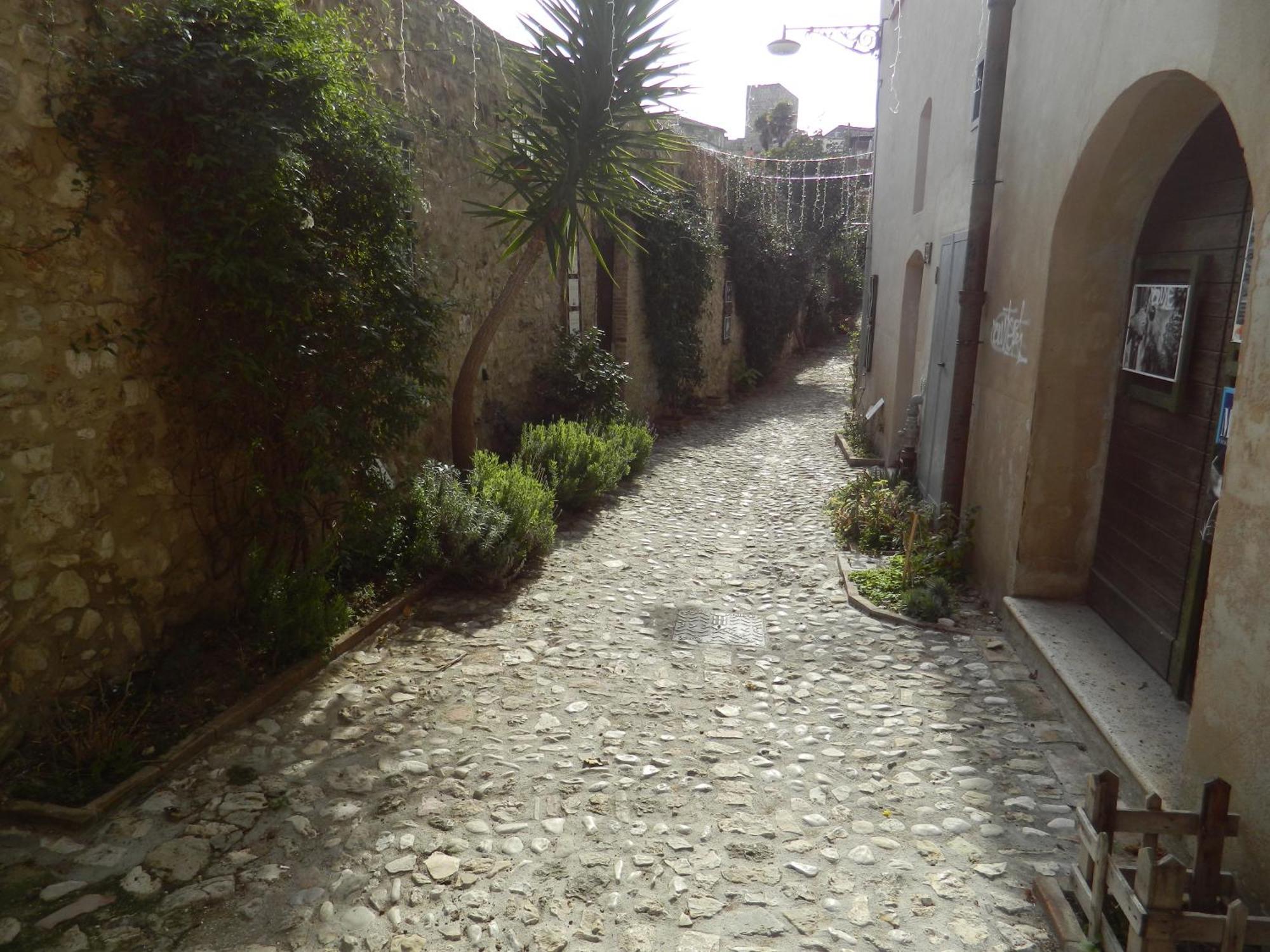 Casa Dell'Oliveto "Parcheggio Gratuito" Narni Exterior foto