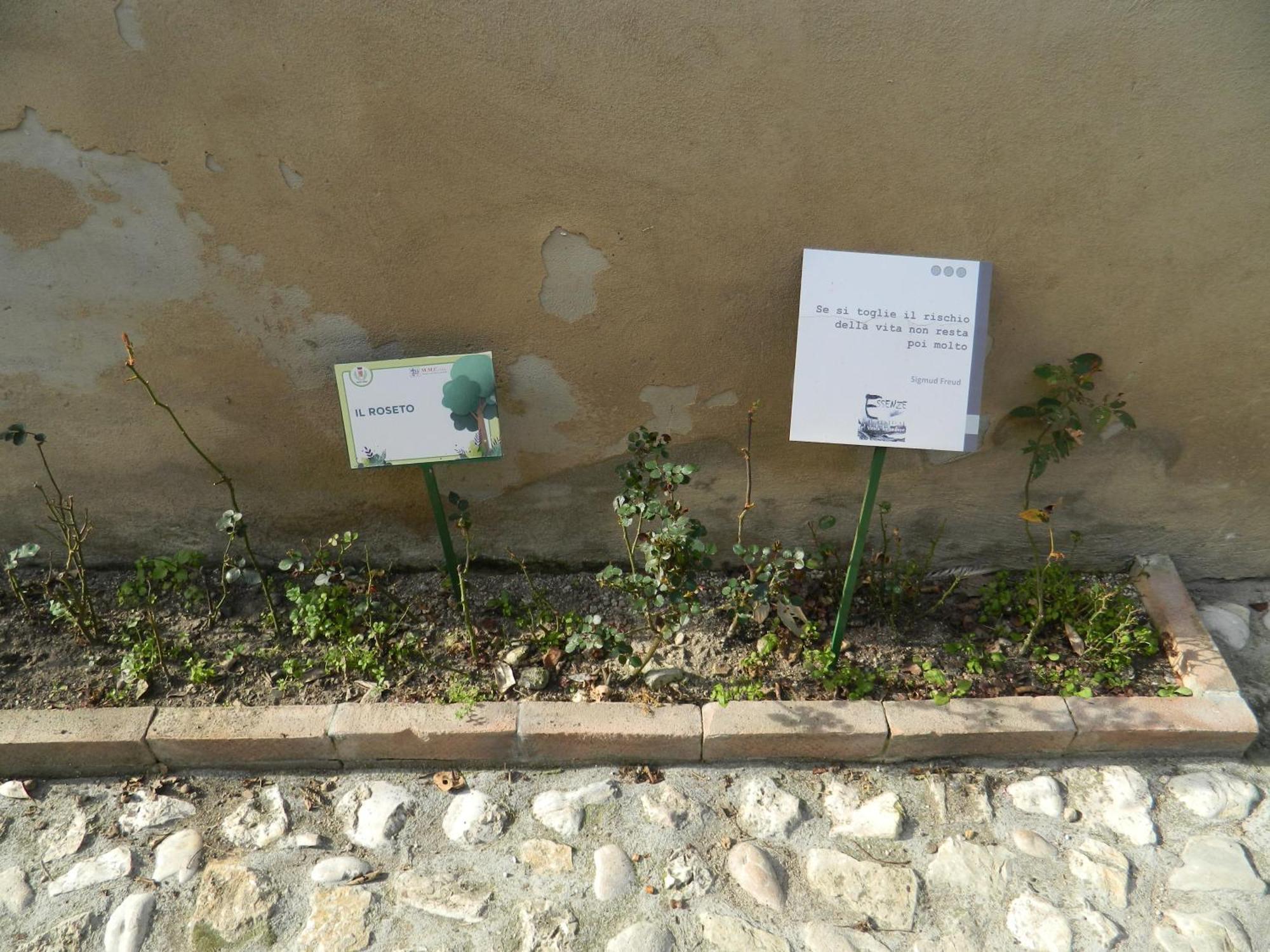 Casa Dell'Oliveto "Parcheggio Gratuito" Narni Exterior foto