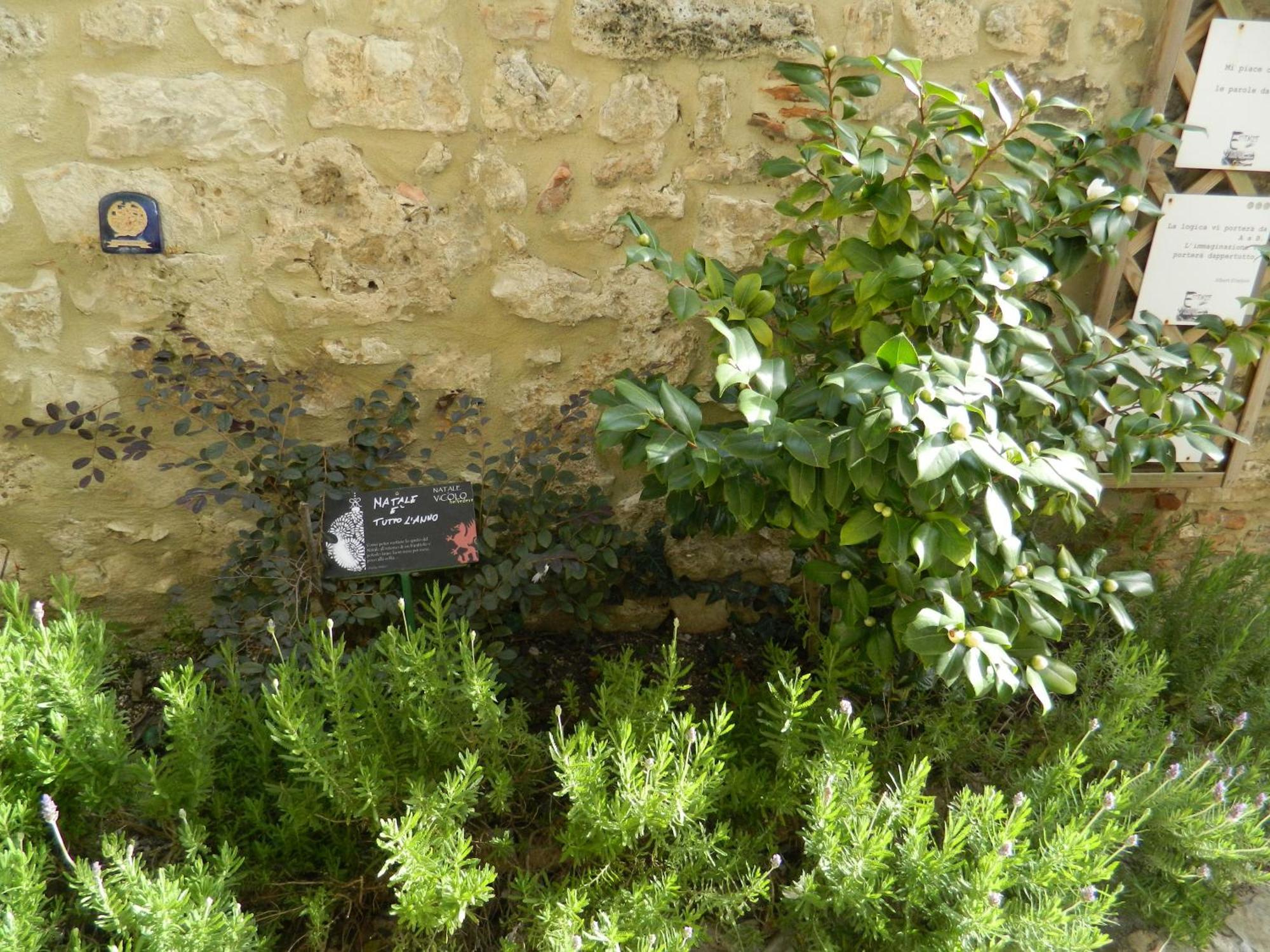 Casa Dell'Oliveto "Parcheggio Gratuito" Narni Exterior foto